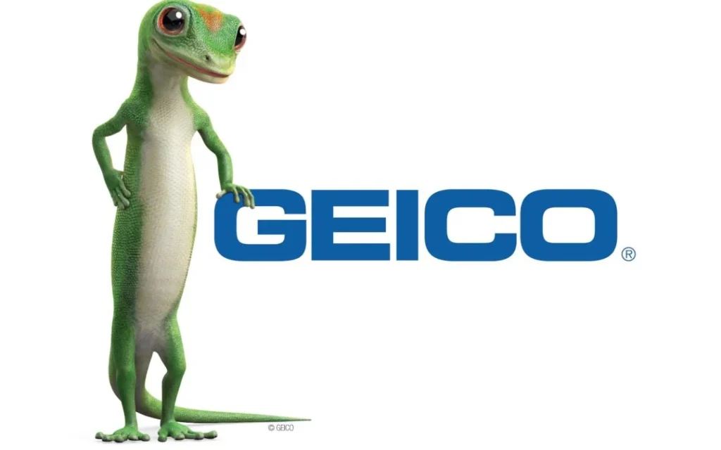 GEICO INSURANCE COMPANY