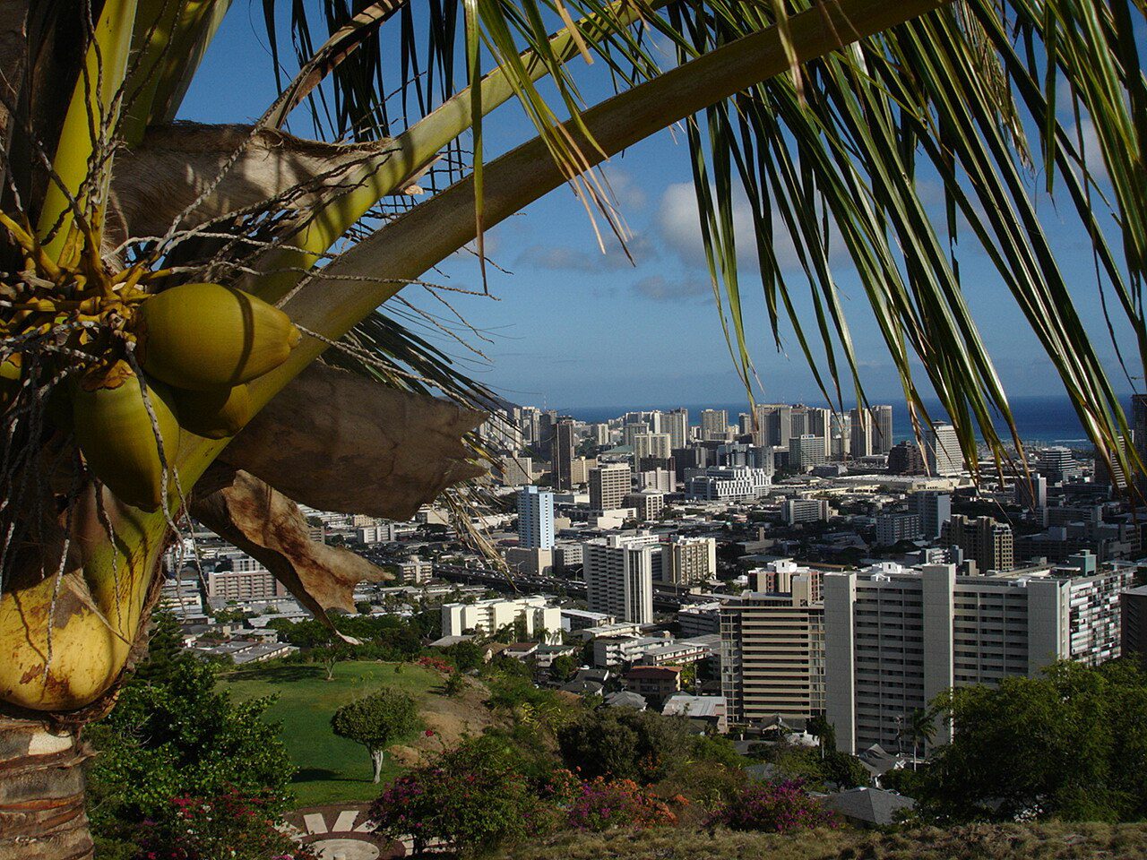 Como sacar placas temporales en Hawaii Como sacar placas temporales en Hawaii online — dealer DMV